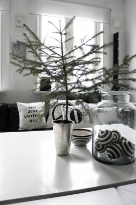 ÅRETS FÖRSTA JULGRAN