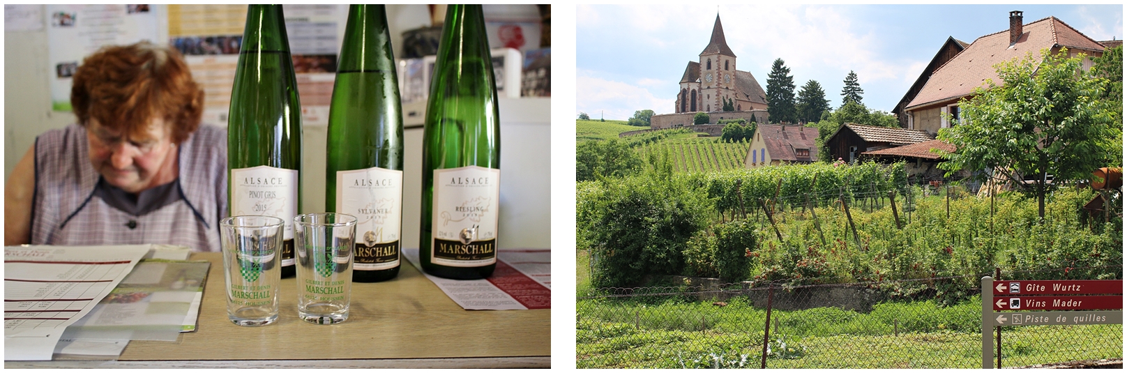 Besöker vingårdar i vackra Alsace i Frankrike